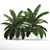 Tropical Plant Collection: Exotic Palms & Botanical Beauties 3D model small image 4