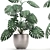 Exotic Monstera: Perfect for Indoors & Outdoors 3D model small image 4