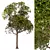 Laurus Nobilis: Round Bay Trees Set 3D model small image 2