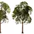 Laurus Nobilis: Round Bay Trees Set 3D model small image 5