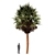 Variety of Tree Set: China Palm, Chinaberry, Round Bay, Bottle Palm 3D model small image 4