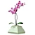Elegant Orchid in Stylish Pot 3D model small image 3