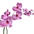 Elegant Orchid in Stylish Pot 3D model small image 6