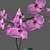 Elegant Orchid in Stylish Pot 3D model small image 13