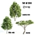 Trio of Majestic V-Ray Trees 3D model small image 1
