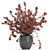 Exotic Berberis thunbergii: Decorative Bush Collection 3D model small image 3