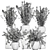 Exotic Berberis thunbergii: Decorative Bush Collection 3D model small image 5