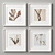 Elegance Frames Collection - Set of 4 3D model small image 1