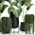Exotic Plant Collection in Black Vase 3D model small image 2