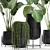 Exotic Plant Collection in Black Vase 3D model small image 4