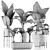 Tropical Plants Collection: Exotic Palms & Flowers 3D model small image 5
