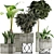 Exotic Plant Collection: Alocasia, Sansevieria, Schefflera, Agave 3D model small image 1