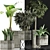 Exotic Plant Collection: Alocasia, Sansevieria, Schefflera, Agave 3D model small image 3