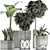 Exotic Plant Collection: Alocasia, Sansevieria, Schefflera, Agave 3D model small image 4