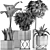 Exotic Plant Collection: Alocasia, Sansevieria, Schefflera, Agave 3D model small image 5