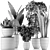 Exotic Plant Collection: Alocasia, Sansevieria, Schefflera, Agave 3D model small image 5