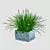 Elegant Ornamental Grass: 362mm x 356mm x 245mm 3D model small image 2