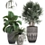Exotic Plant Collection: Raphis Palm, Alocasia, and Chlorophytum 3D model small image 1