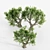 African Olive Tree Trio: Stunning Virtual Landscape 3D model small image 4