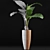 Exotic Alocasia: Plants Collection 53 3D model small image 4