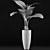 Exotic Alocasia: Plants Collection 53 3D model small image 5