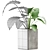 Exotic Alocasia: Perfect Decor for Office 3D model small image 3