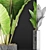 Tropical Greenery: Alocasia Plants 3D model small image 3