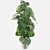 Tropical Monstera: Lush 150cm 3D model small image 1