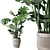 Green Oasis Collection: Parlor Palm, Monstera, Calathea 3D model small image 2