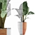 Exotic Alocasia Collection: Perfect Decor 3D model small image 4