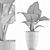 Exotic Alocasia Collection: Perfect Decor 3D model small image 5