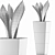 Exotic Plants Collection: Sansevieira 3D model small image 5