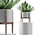 Exotic Agave Collection: Perfect for Green Decor 3D model small image 1