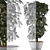 Exotic Schefflera Arboricola: Green Office Decor 3D model small image 3