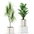 Green Oasis: 375 Plant Collection 3D model small image 2