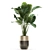 Green Oasis Collection: Exotic Plants in Godwin Longhi Luxury Planter 3D model small image 2