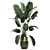 Green Oasis Collection: Exotic Plants in Godwin Longhi Luxury Planter 3D model small image 4