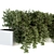 Ivy Box-Set: Outdoor Greenery 3D model small image 4
