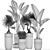 Exotic Plant Collection for Indoor and Outdoor Décor 3D model small image 5