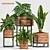 Green Oasis Planter Set 3D model small image 1