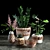 Woven Plant Set for Interior Decoration 3D model small image 1