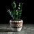 Woven Plant Set for Interior Decoration 3D model small image 4