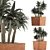 84 Exotic Desert Plants Collection 3D model small image 1