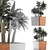 84 Exotic Desert Plants Collection 3D model small image 3