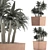 84 Exotic Desert Plants Collection 3D model small image 4