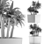 84 Exotic Desert Plants Collection 3D model small image 5