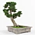 Elegant Bonsai Decor Tree 3D model small image 3