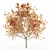 Elegant Autumn Bradford Pear Trees 3D model small image 3