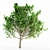 Graceful Bradford Pear Tree Collection 3D model small image 3