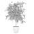 Ficus Ali Plants Collection 3D model small image 2